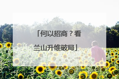 何以招商？看兰山升维破局