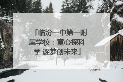 临汾一中第一附属学校：童心探科学 逐梦创未来