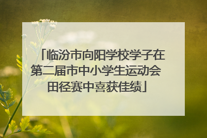 临汾市向阳学校学子在第二届市中小学生运动会田径赛中喜获佳绩