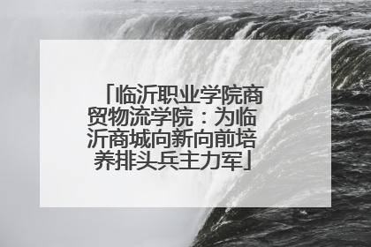 临沂职业学院商贸物流学院：为临沂商城向新向前培养排头兵主力军