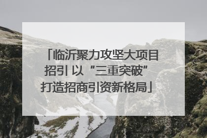 临沂聚力攻坚大项目招引 以“三重突破”打造招商引资新格局