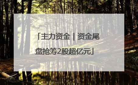 主力资金｜资金尾盘抢筹2股超亿元