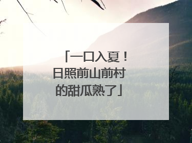 一口入夏！日照前山前村的甜瓜熟了