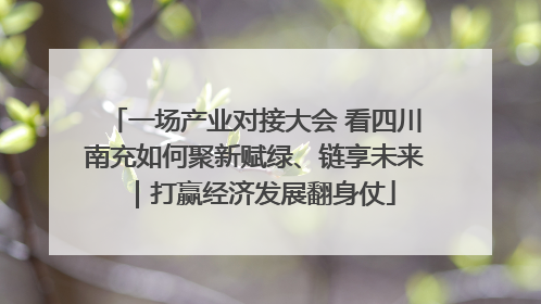 一场产业对接大会 看四川南充如何聚新赋绿、链享未来｜打赢经济发展翻身仗