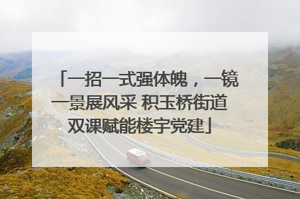 一招一式强体魄，一镜一景展风采 积玉桥街道双课赋能楼宇党建
