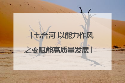 七台河 以能力作风之变赋能高质量发展