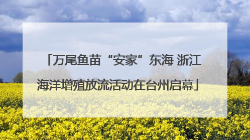 万尾鱼苗“安家”东海 浙江海洋增殖放流活动在台州启幕