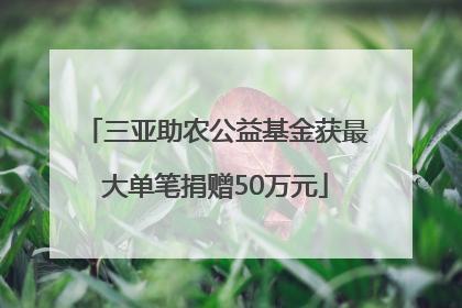 三亚助农公益基金获最大单笔捐赠50万元