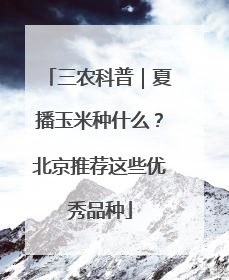 三农科普｜夏播玉米种什么？北京推荐这些优秀品种