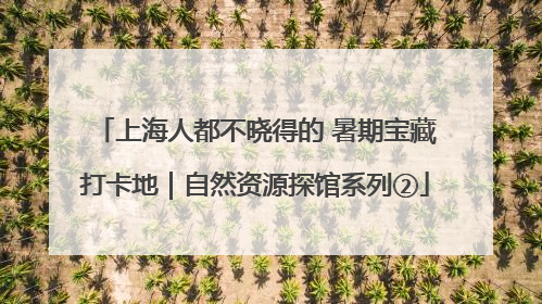 上海人都不晓得的 暑期宝藏打卡地｜自然资源探馆系列②