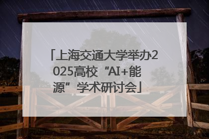上海交通大学举办2025高校“AI+能源”学术研讨会