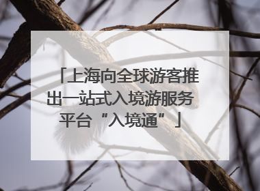 上海向全球游客推出一站式入境游服务平台“入境通”