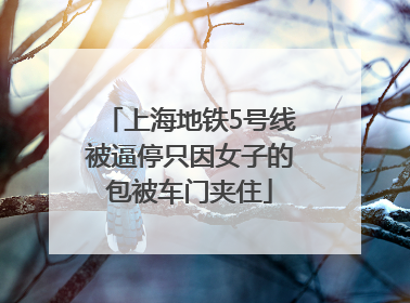 上海地铁5号线被逼停只因女子的包被车门夹住