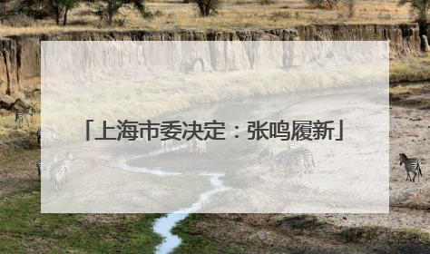上海市委决定：张鸣履新