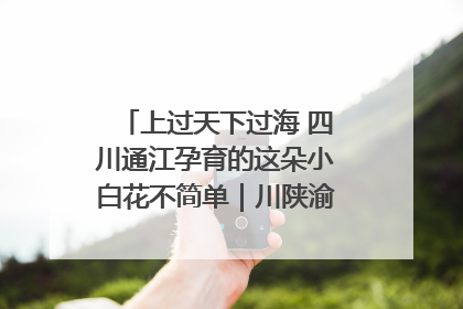 上过天下过海 四川通江孕育的这朵小白花不简单｜川陕渝网络名人巴中行