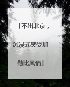 不出北京，沉浸式感受加勒比风情