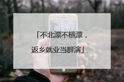 不北漂不横漂，返乡就业当群演