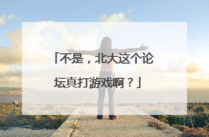 不是，北大这个论坛真打游戏啊？