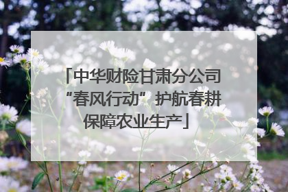 中华财险甘肃分公司“春风行动”护航春耕 保障农业生产