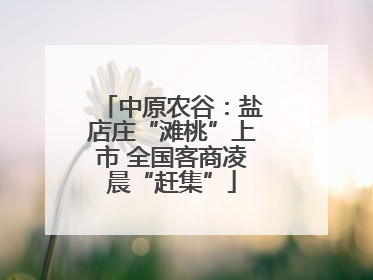 中原农谷：盐店庄“滩桃”上市 全国客商凌晨“赶集”