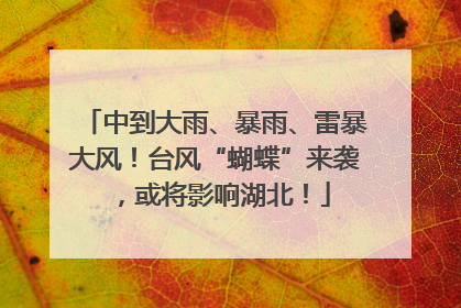 中到大雨、暴雨、雷暴大风！台风“蝴蝶”来袭，或将影响湖北！