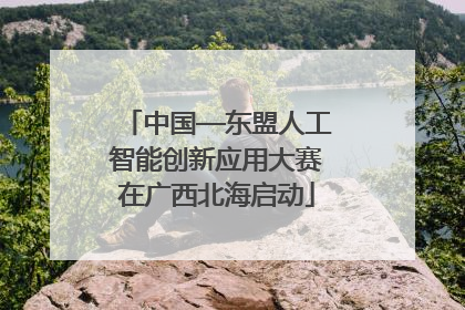 中国—东盟人工智能创新应用大赛在广西北海启动