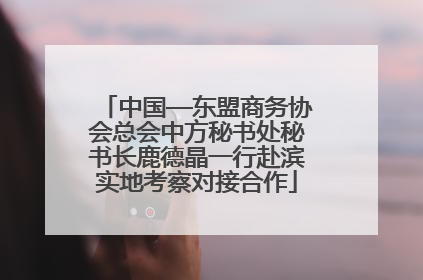 中国—东盟商务协会总会中方秘书处秘书长鹿德晶一行赴滨实地考察对接合作