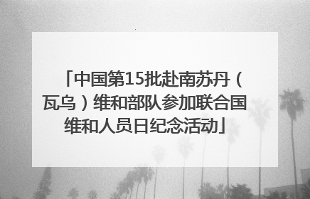 中国第15批赴南苏丹（瓦乌）维和部队参加联合国维和人员日纪念活动