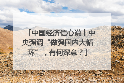 中国经济信心说丨中央强调“做强国内大循环”，有何深意？