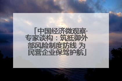 中国经济微观察·专家谈构：筑抵御外部风险制度防线 为民营企业保驾护航