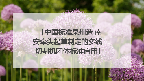 中国标准泉州造 南安牵头起草制定的多线切割机团体标准启用