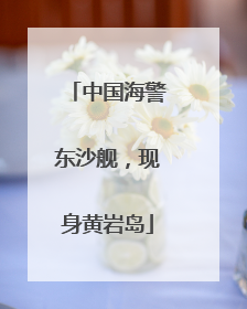 中国海警东沙舰，现身黄岩岛