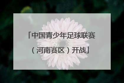 中国青少年足球联赛（河南赛区）开战