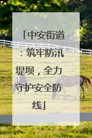 中安街道：筑牢防汛堤坝，全力守护安全防线