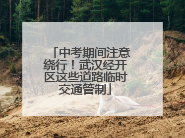 中考期间注意绕行！武汉经开区这些道路临时交通管制