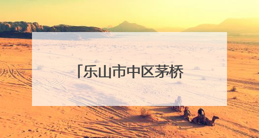 乐山市中区茅桥幼儿园：同频共振，聚力共生