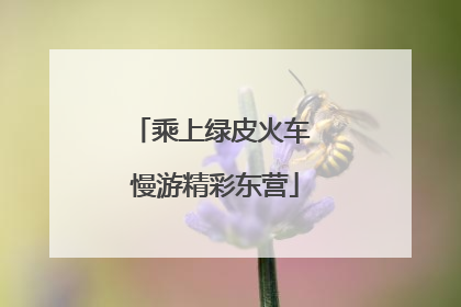 乘上绿皮火车 慢游精彩东营