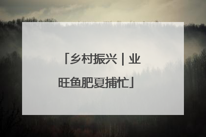 乡村振兴｜业旺鱼肥夏捕忙