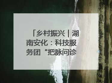乡村振兴｜湖南安化：科技服务团“把脉问诊”水果产业