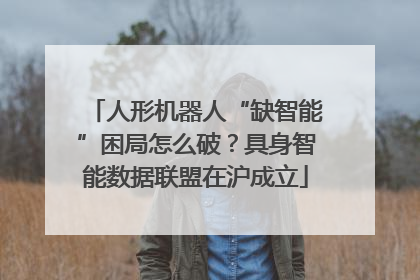 人形机器人“缺智能”困局怎么破？具身智能数据联盟在沪成立