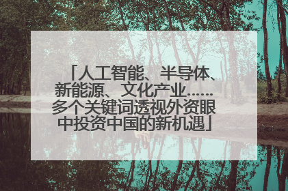 人工智能、半导体、新能源、文化产业……多个关键词透视外资眼中投资中国的新机遇