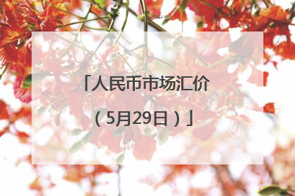 人民币市场汇价（5月29日）