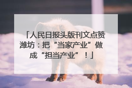 人民日报头版刊文点赞潍坊：把“当家产业”做成“担当产业”！