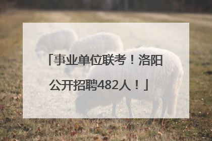 事业单位联考！洛阳公开招聘482人！