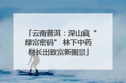 云南普洱：深山藏“绿富密码” 林下中药材长出致富新图景