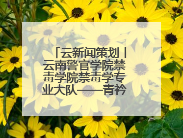 云新闻策划丨云南警官学院禁毒学院禁毒学专业大队——青衿之志辉映警徽