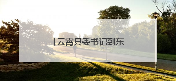 云霄县委书记到东厦镇调研党建引领乡村振兴等重点工作