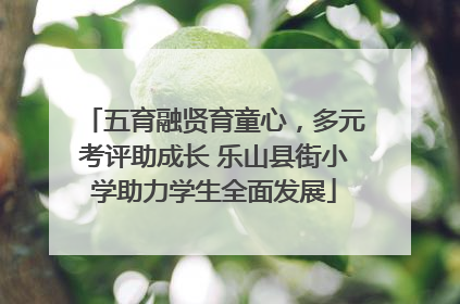 五育融贤育童心，多元考评助成长 乐山县街小学助力学生全面发展