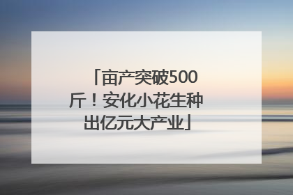 亩产突破500斤！安化小花生种出亿元大产业