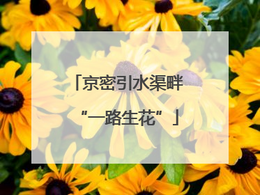 京密引水渠畔“一路生花”